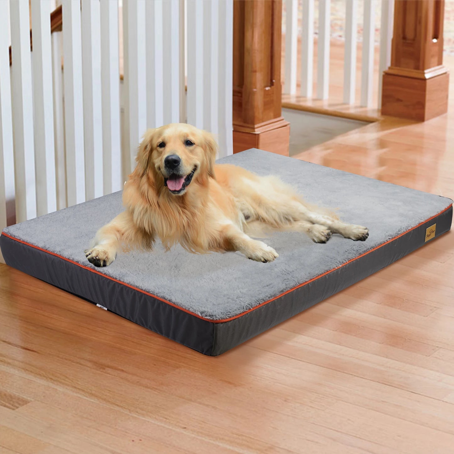 Large Orthopedic Dog Bed